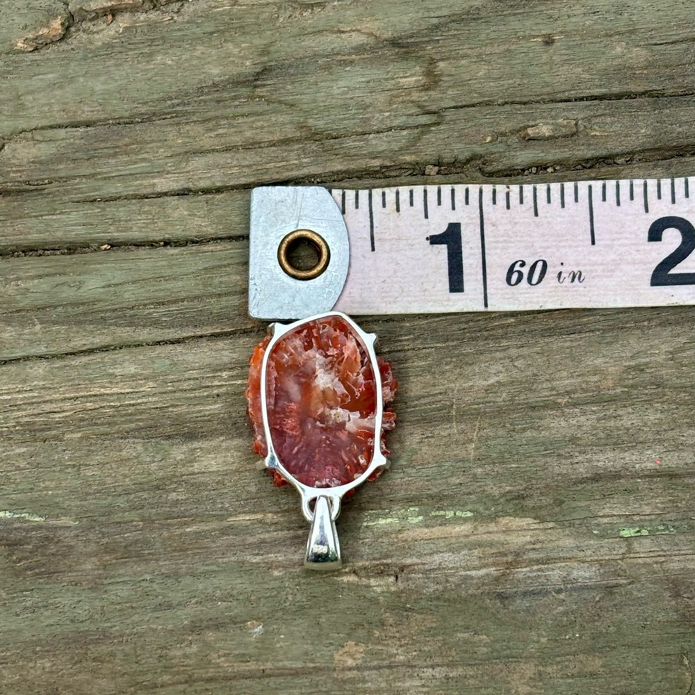 Red Horn Coral Necklace - Picture 11 of 11